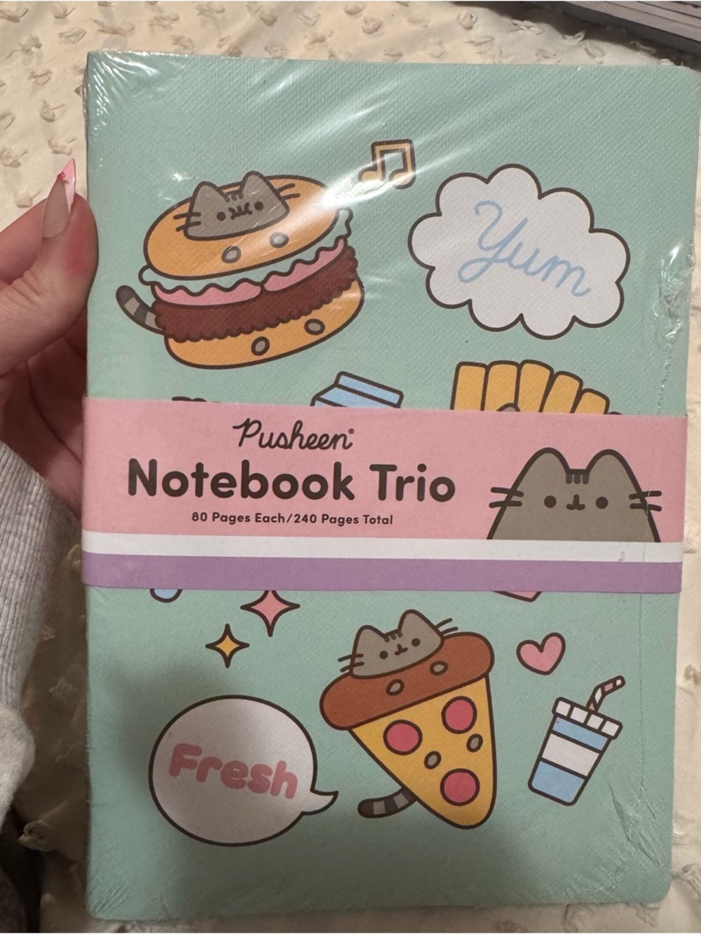 Pusheen Mini Notebook 3-Pack in Mint, Yellow, Pink